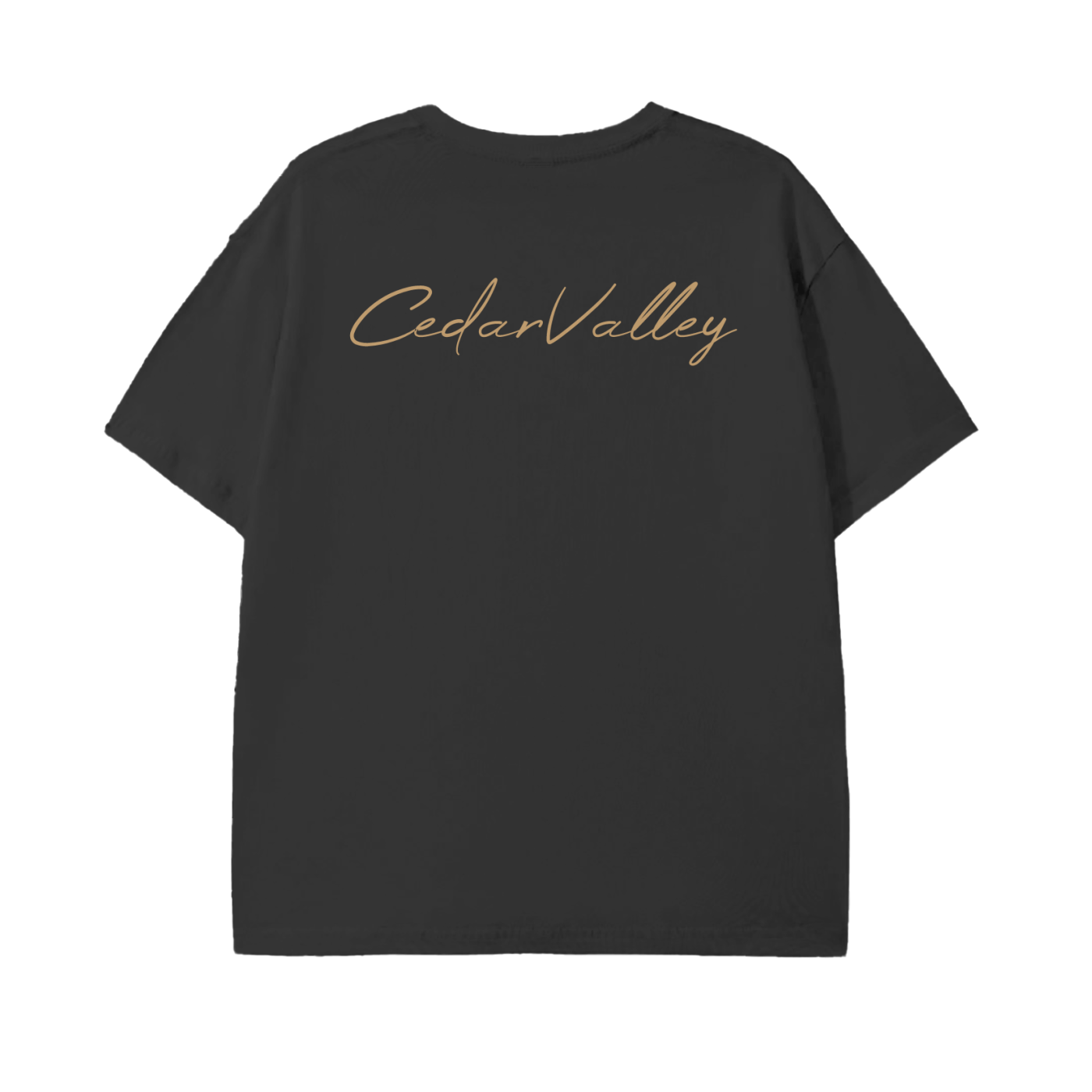 Classic Lightweight T-Shirt (Tan Logo)