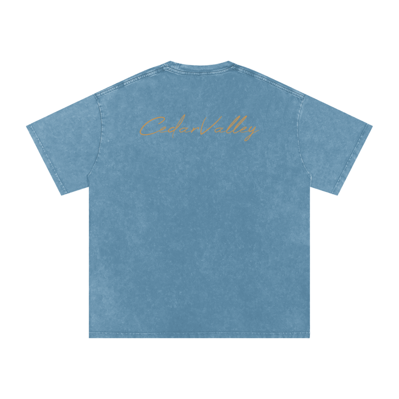 Desert Oversized T-shirt (Tan Logo)