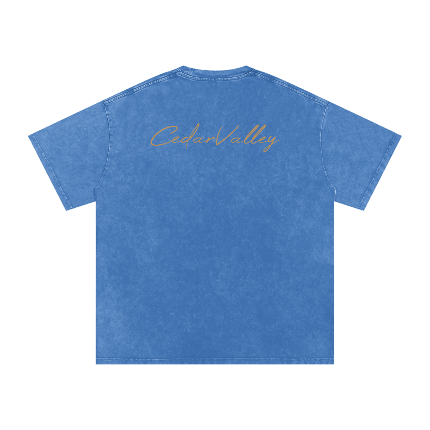 Desert Oversized T-shirt (Tan Logo)