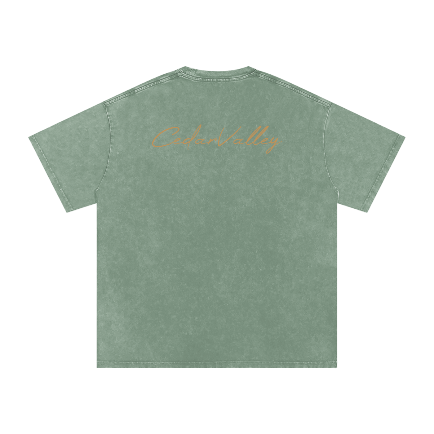 Desert Oversized T-shirt (Tan Logo)
