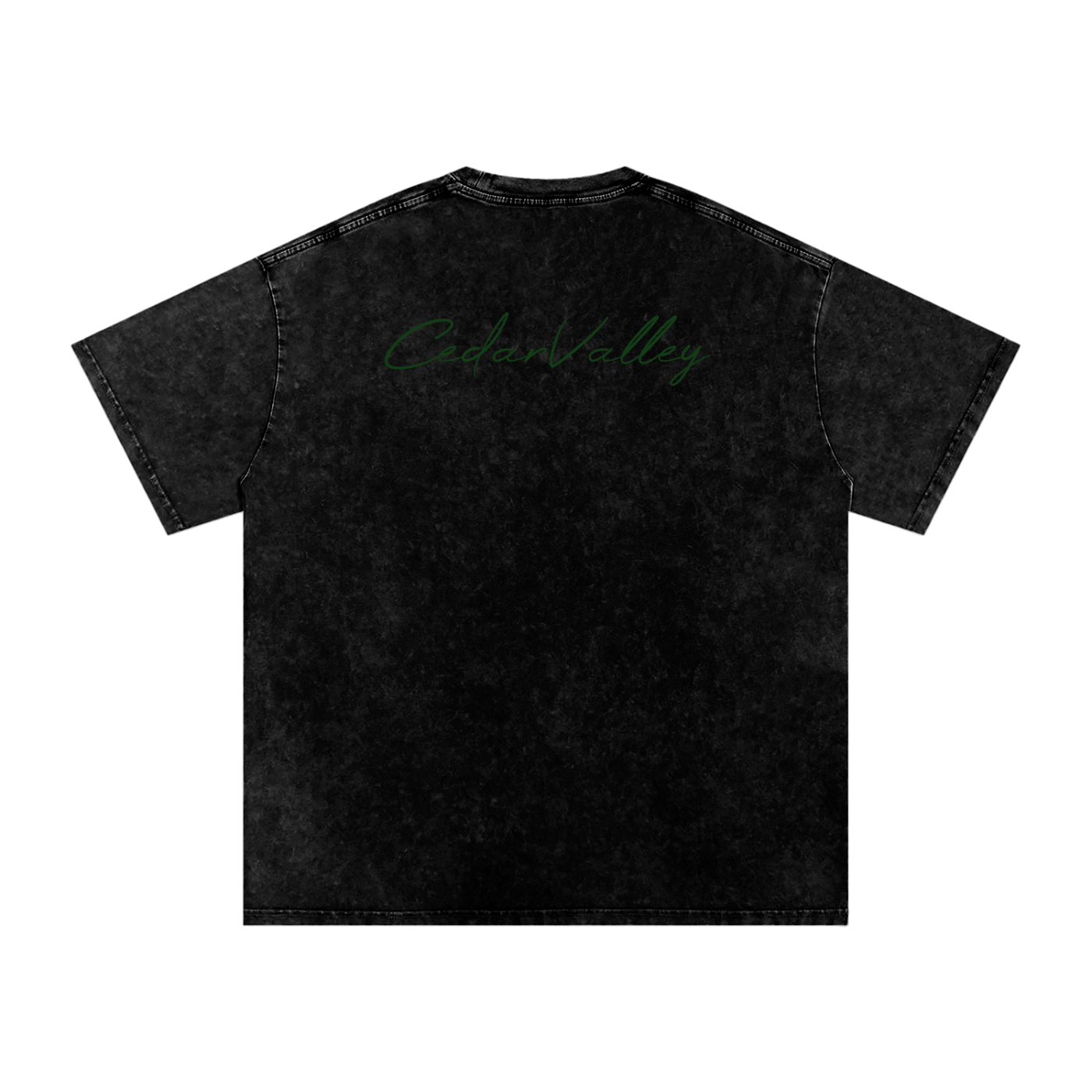 Desert Oversized T-shirt (Green Logo)