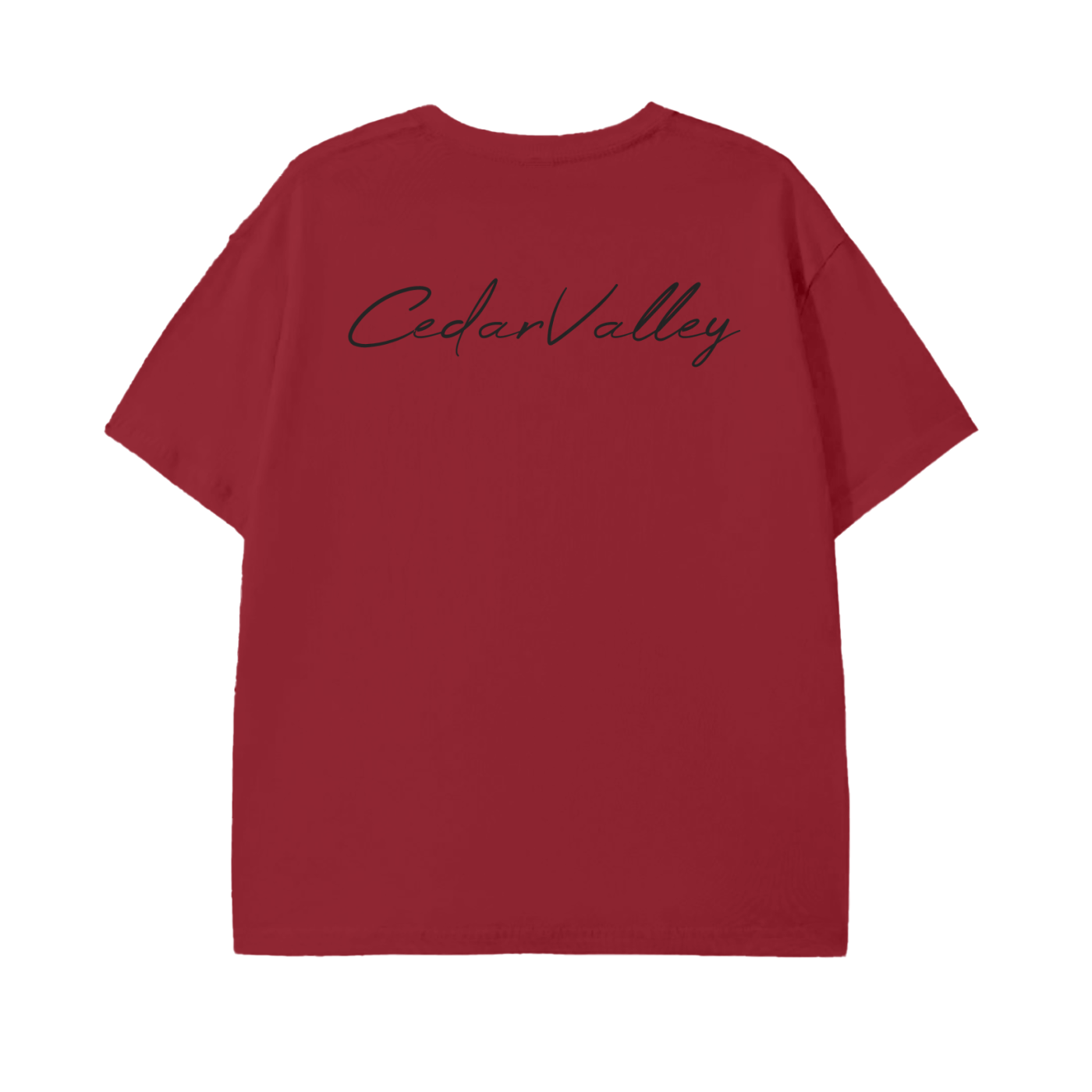Classic Lightweight T-Shirt (Black Logo)