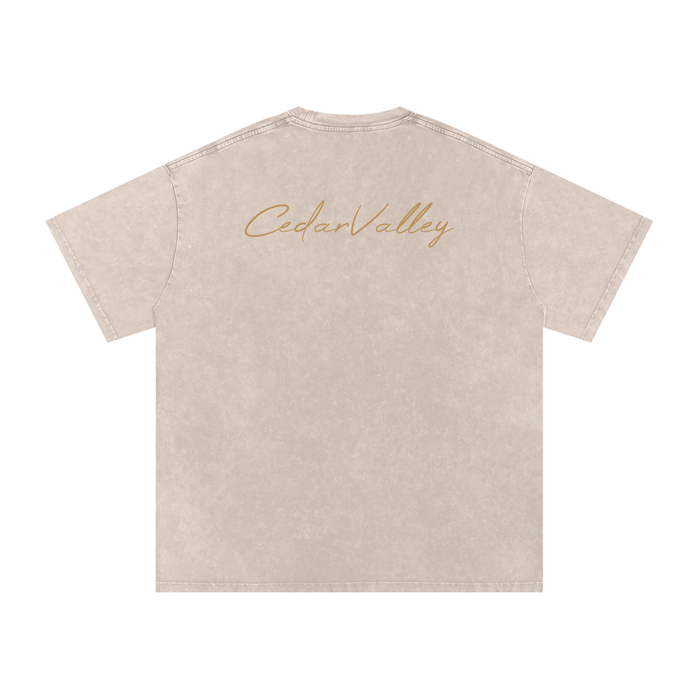 Desert Oversized T-shirt (Tan Logo)
