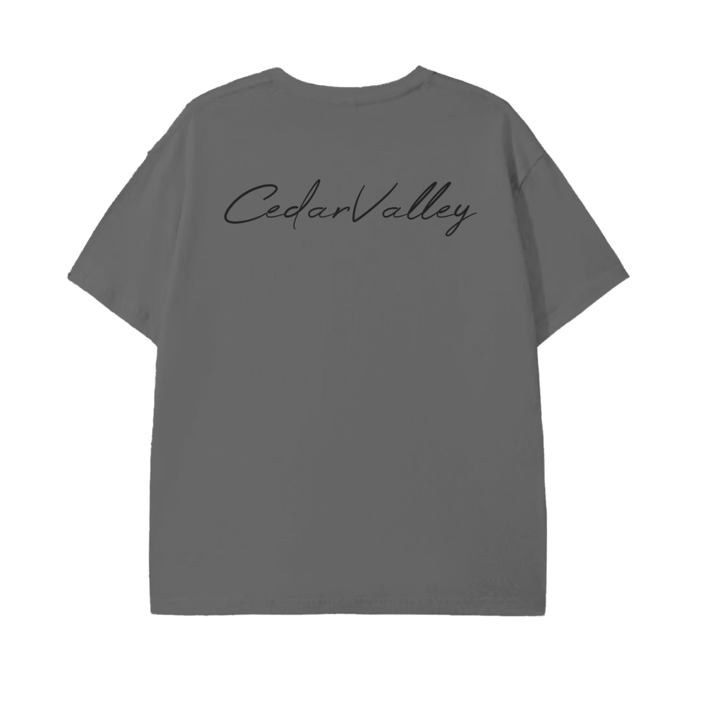 Classic Lightweight T-Shirt (Black Logo)