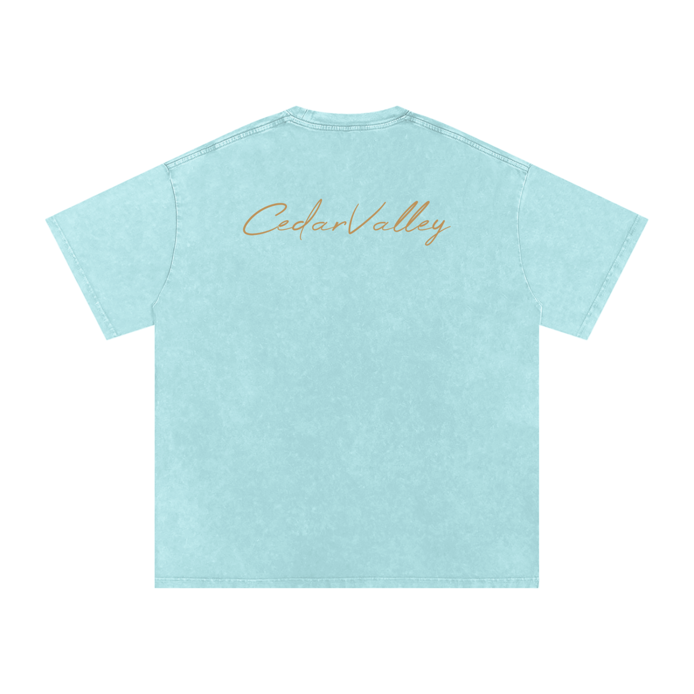Desert Oversized T-shirt (Tan Logo)