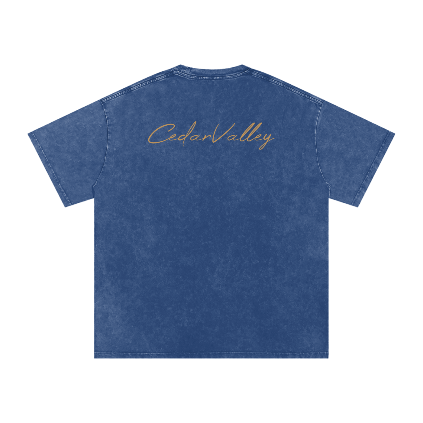 Desert Oversized T-shirt (Tan Logo)