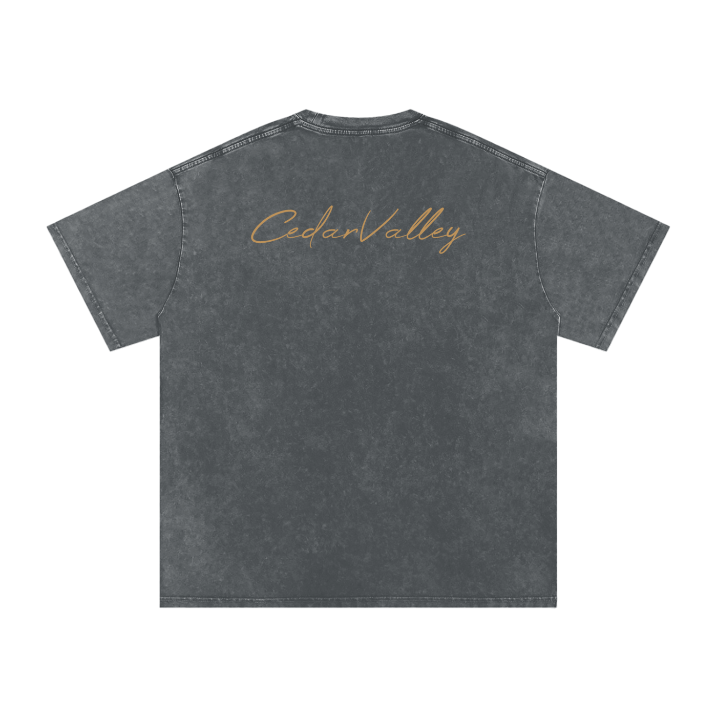 Desert Oversized T-shirt (Tan Logo)