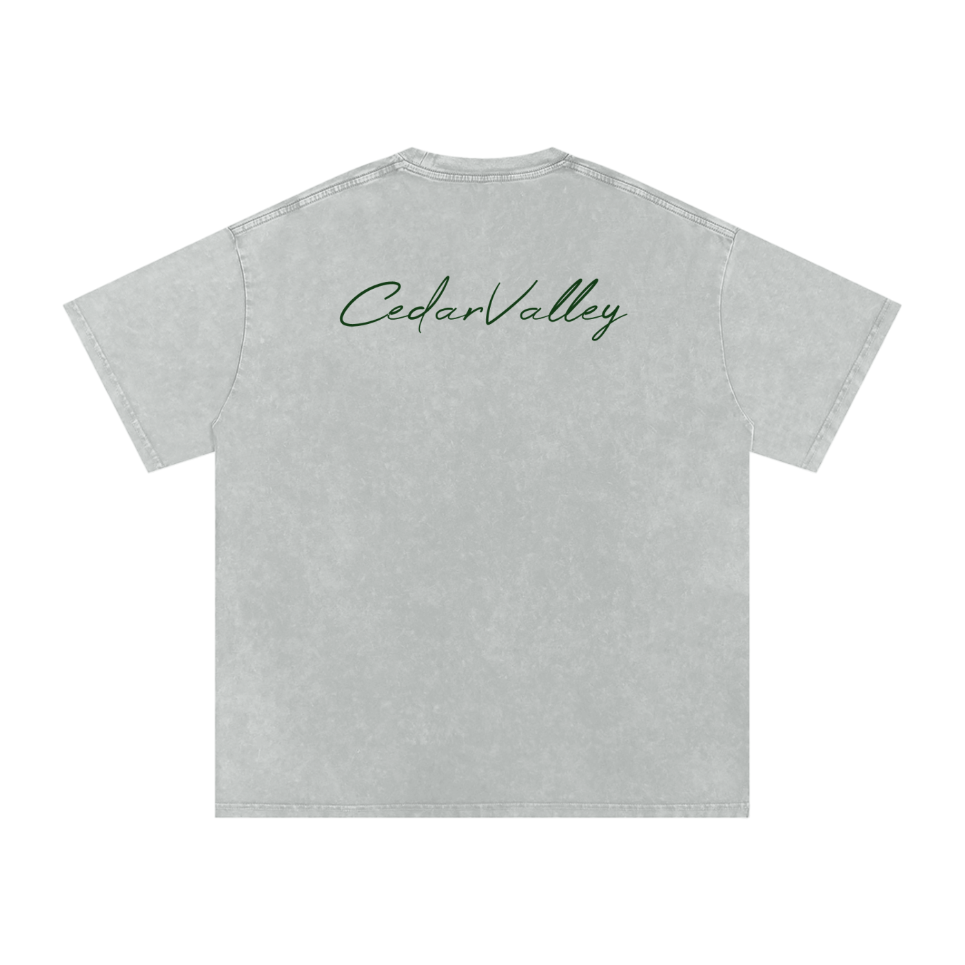 Desert Oversized T-shirt (Green Logo)