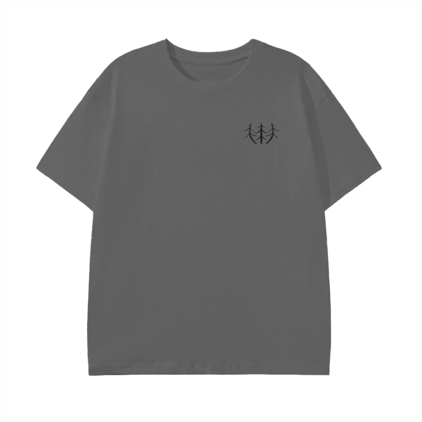 Classic Lightweight T-Shirt (Black Logo)