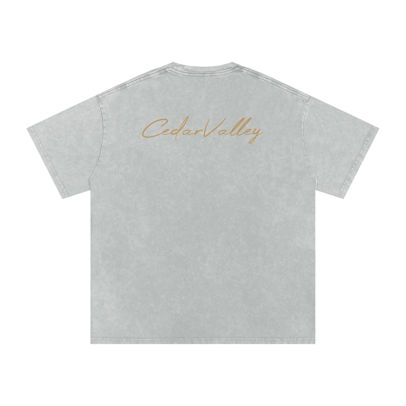 Desert Oversized T-shirt (Tan Logo)