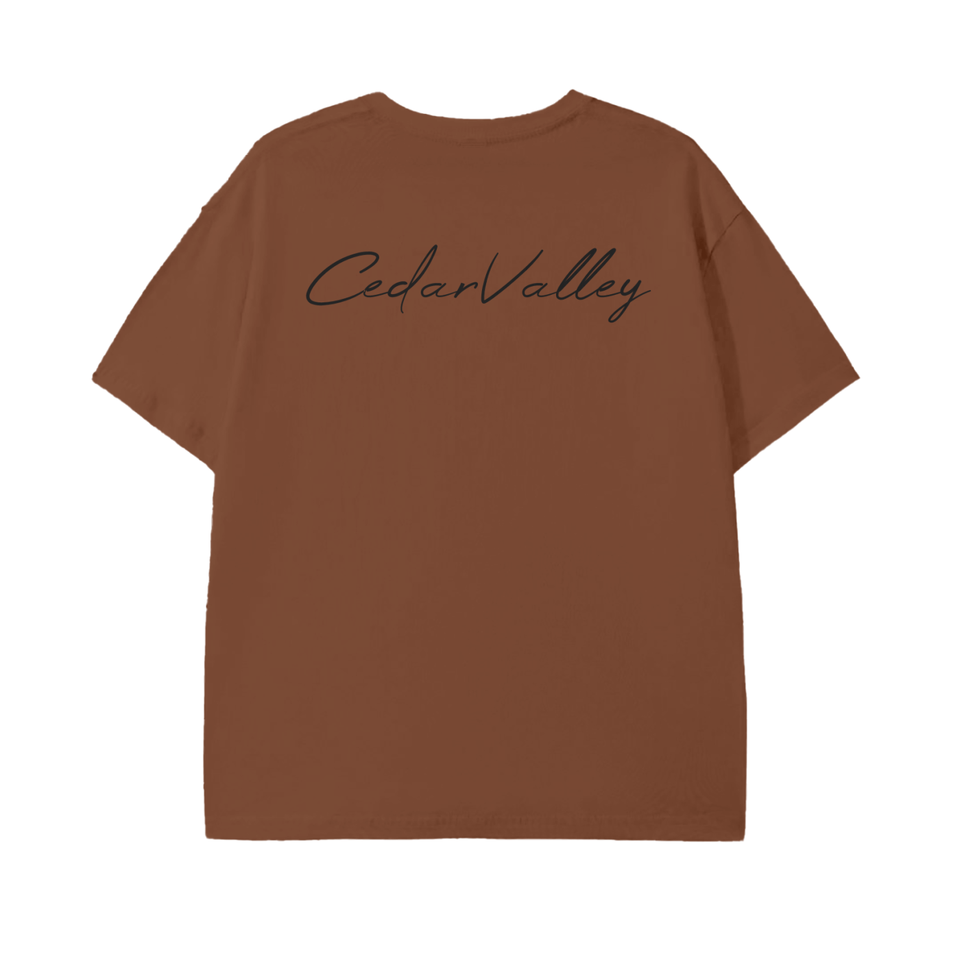 Classic Lightweight T-Shirt (Black Logo)