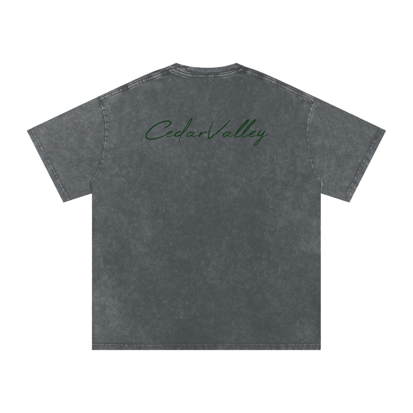 Desert Oversized T-shirt (Green Logo)