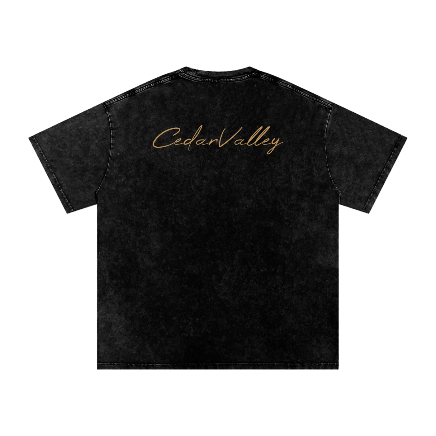 Desert Oversized T-shirt (Tan Logo)