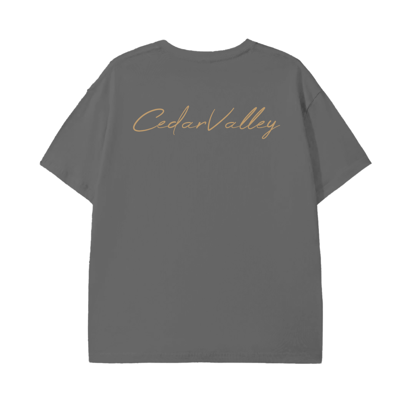 Classic Lightweight T-Shirt (Tan Logo)