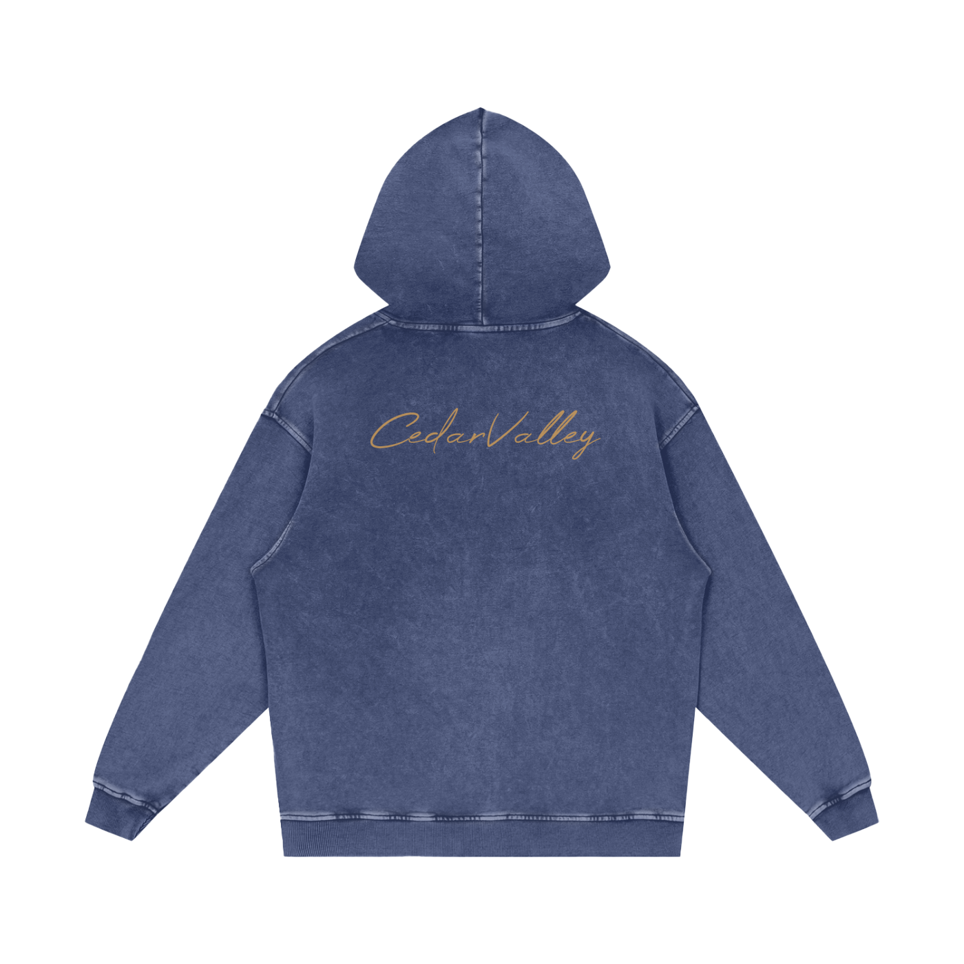 Desert Oversized Washed Hoodie (Tan Logo)