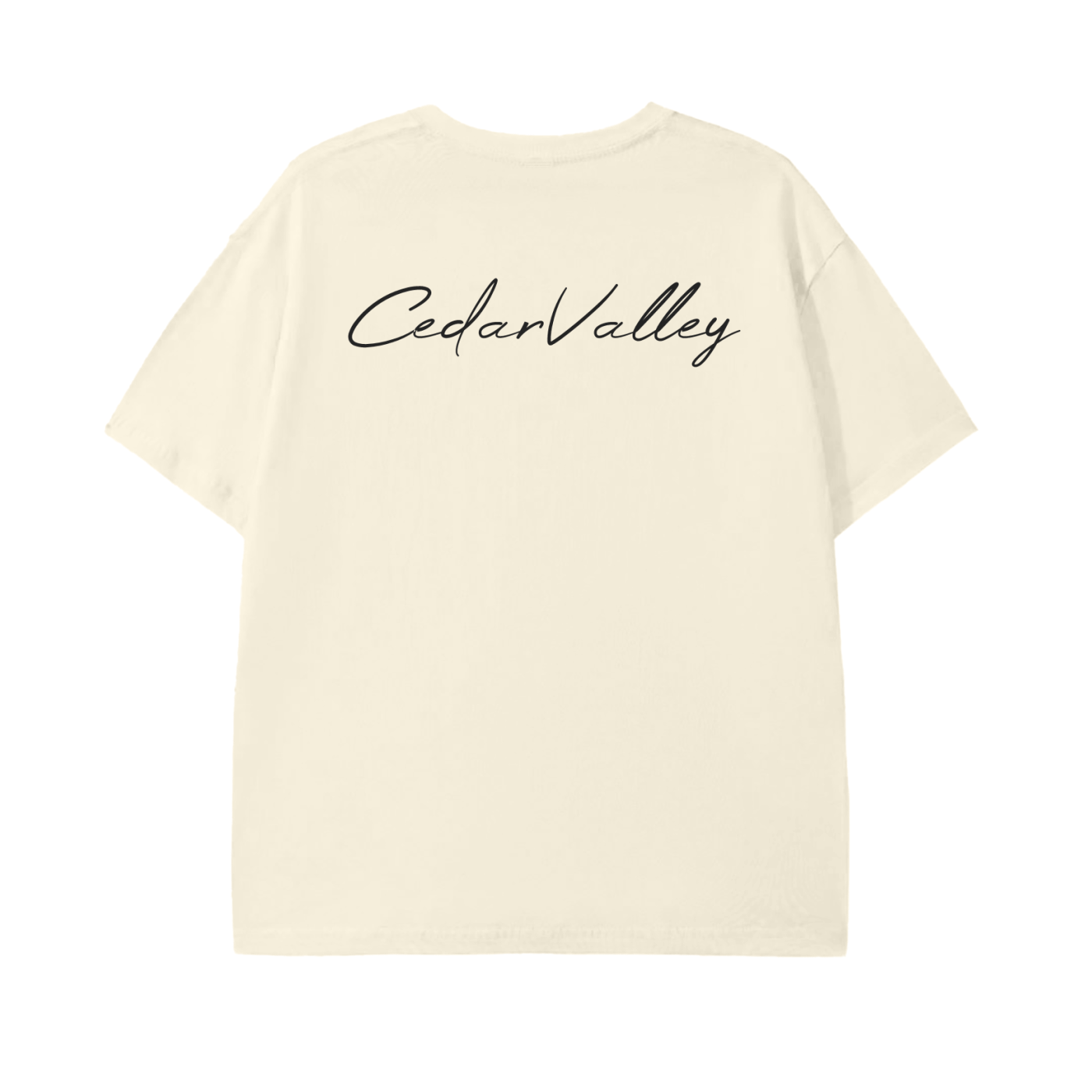 Classic Lightweight T-Shirt (Black Logo)