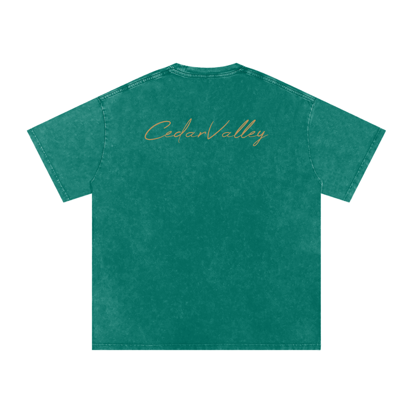 Desert Oversized T-shirt (Tan Logo)