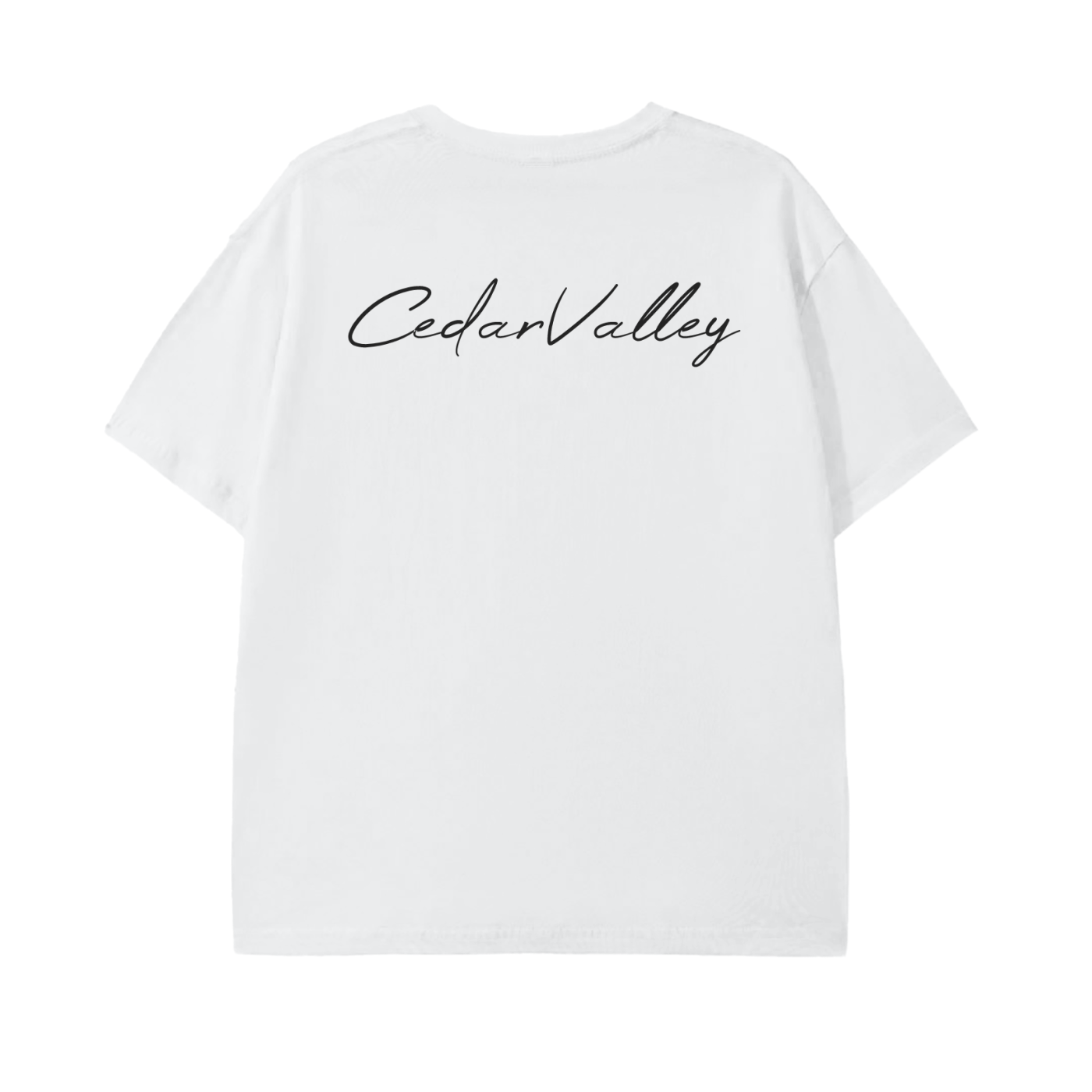 Classic Lightweight T-Shirt (Black Logo)